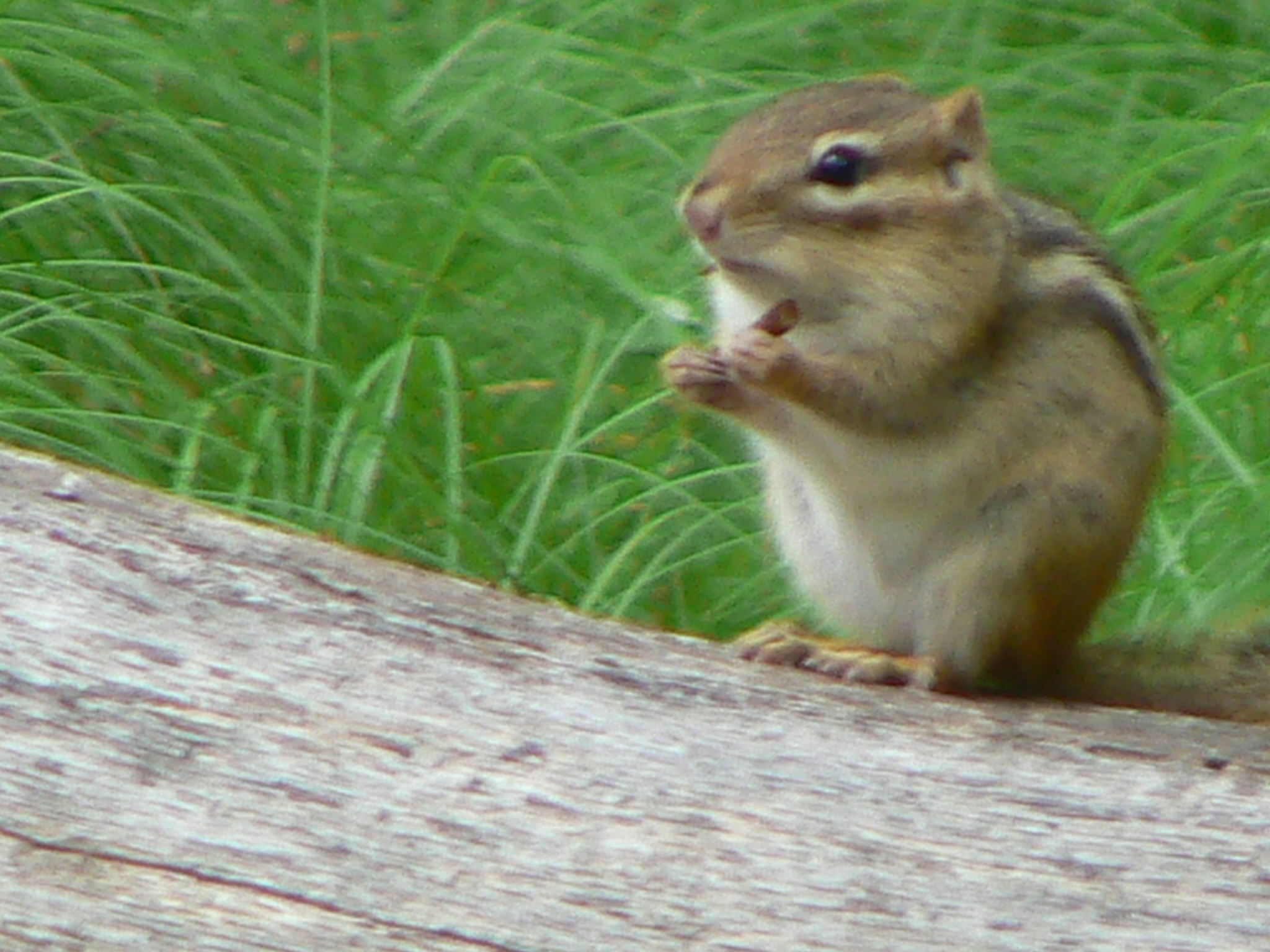Kensington Metro Park アドバンコンサルティング ADVAN Consulting 山下肇 Hajime Yamashita